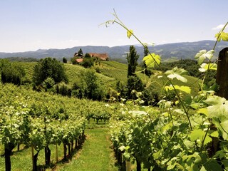 Appartamento per vacanze Gleinstätten Ambiente 27