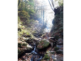 Appartamento per vacanze Gleinstätten Ambiente 28