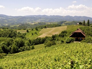 Appartamento per vacanze Gleinstätten Ambiente 32