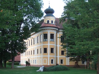 Appartamento per vacanze Gleinstätten Ambiente 38