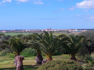 Blick auf Ses Salines