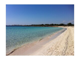 Tenuta Ses Salines Ambiente 35