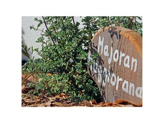 Appartamento per vacanze Kastelruth Registrazione all'aperto 11