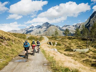 Appartamento per vacanze St. Johann im Ahrntal Ambiente 17