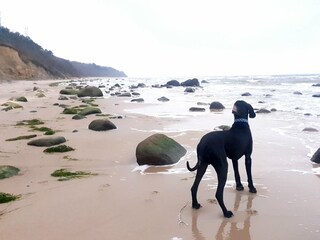 Apartamento de vacaciones Wiek Entorno 27