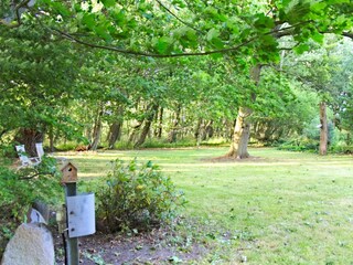 Apartamento de vacaciones Wiek Grabación al aire libre 5