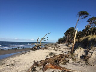 Weststrand Darß