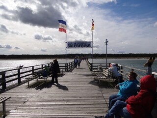 Apartamento de vacaciones Prerow Entorno 17