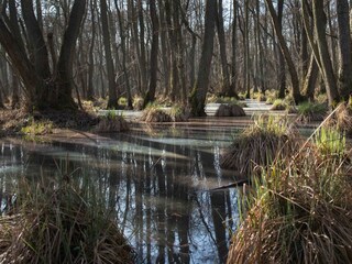Appartamento per vacanze Prerow Ambiente 20