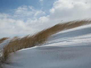 Appartamento per vacanze Prerow Ambiente 28