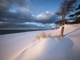 Vakantieappartement Prerow Omgeving 29