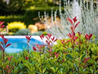 Mediterranes Gartenparadies