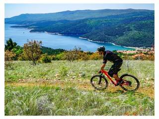 Villa Nedescina Ambiente 40