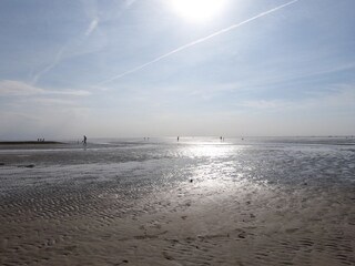 Wattenmeer