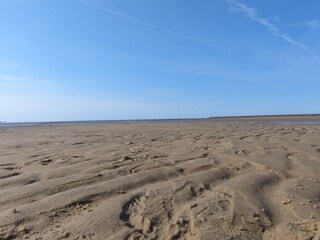 Wattenmeer