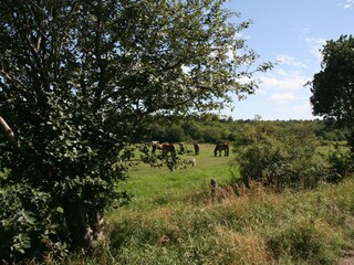 Landschaft