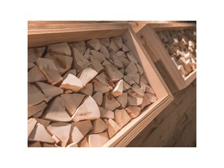 Appartamento per vacanze St. Johann im Ahrntal Caratteristiche 12