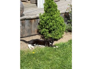 Appartamento per vacanze Seckau Ambiente 32