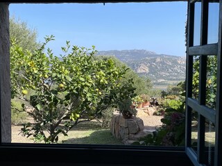 Casa per le vacanze Cannigione Caratteristiche 34