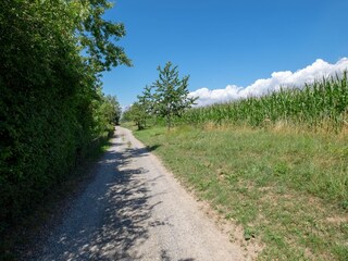 Vakantieappartement Meersburg Buitenaudio-opname 6