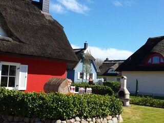 Garten mit Terrasse