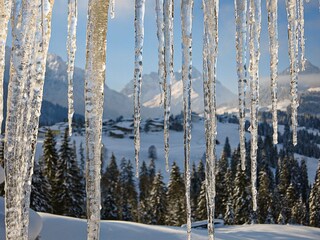 Appartamento per vacanze Riezlern Ambiente 38