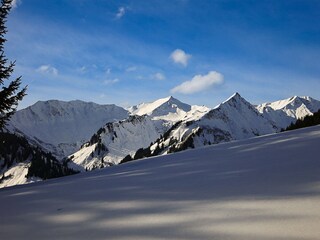 Appartamento per vacanze Riezlern Ambiente 39