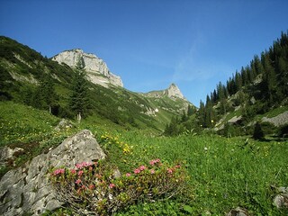 Appartamento per vacanze Riezlern Ambiente 34