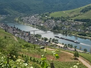 Blick aus den Weinbergen auf Zell