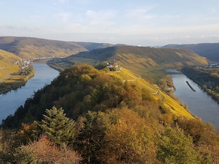 Blick vom Prinzenkopf auf die Moselschleife