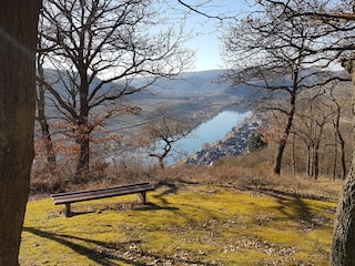 Blick von der Löhnshöhe ins Moseltal (im Februar)