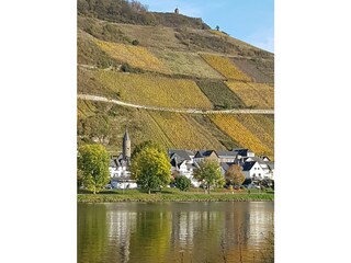 Aussicht vom anderen Moselufer auf die Moselsinne