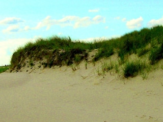 Ferienwohnung St. Peter-Ording Umgebung 20