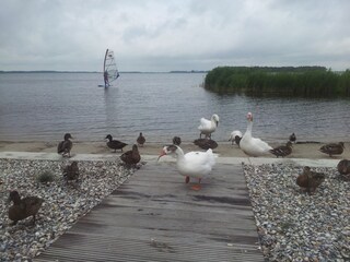 Casa per le vacanze Hulshorst Ambiente 8