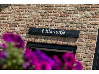 Type de propriété : Chalet Vrouwenpolder  40