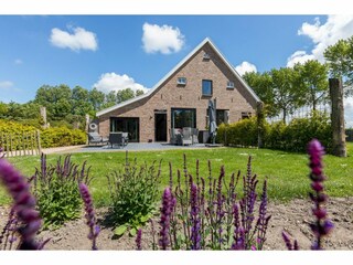 Type de propriété : Chalet Vrouwenpolder Enregistrement extérieur 2