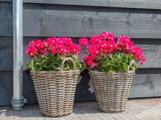 Cottage Vrouwenpolder  27