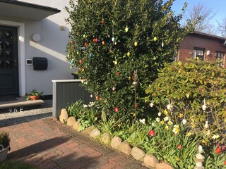 Holiday apartment Sylt Outdoor Recording 4