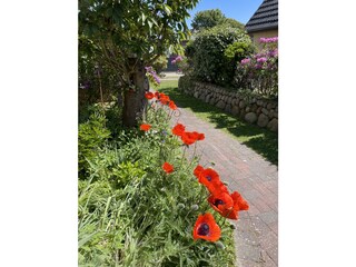 Apartamento de vacaciones Sylt Grabación al aire libre 7