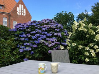 Apartamento de vacaciones Sylt Entorno 9