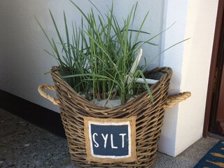 Apartamento de vacaciones Sylt Entorno 11