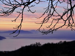 Dezember-Ausblick