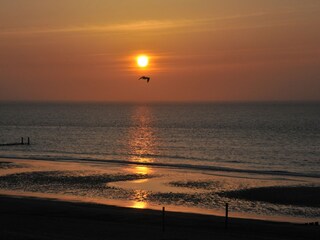 Casa per le vacanze Westkapelle Ambiente 30