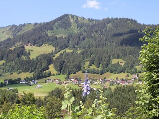 Vakantieappartement Hirschegg im Kleinwalsertal  11