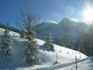 Appartamento per vacanze Hirschegg im Kleinwalsertal  15