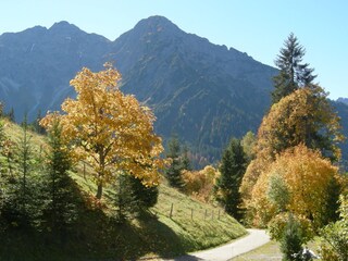 Appartamento per vacanze Hirschegg im Kleinwalsertal  12