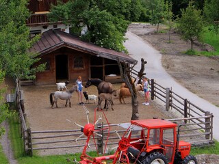 Appartamento per vacanze Hippach Registrazione all'aperto 9