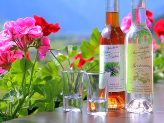 Appartamento per vacanze Hippach Registrazione all'aperto 6