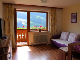 Appartamento per vacanze Hippach Caratteristiche 13