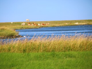 Für Wanderer